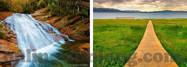1966年世界杯4强-1966年世界杯四强，传奇与荣耀的交汇