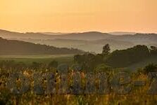 开云体育是小平台-解放思维，迎接挑战，小平台勇闯体育竞技新纪元